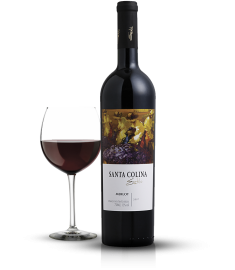 Vinho Santa Colina estilo merlot 750 ml